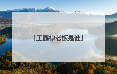 王鹤棣老板是谁