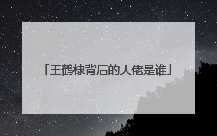 王鹤棣背后的大佬是谁