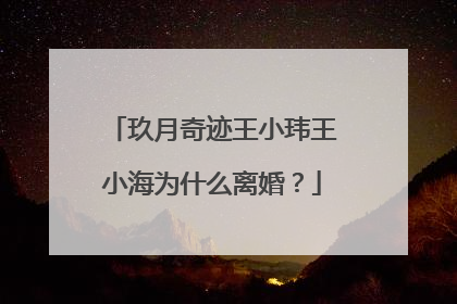 玖月奇迹王小玮王小海为什么离婚？