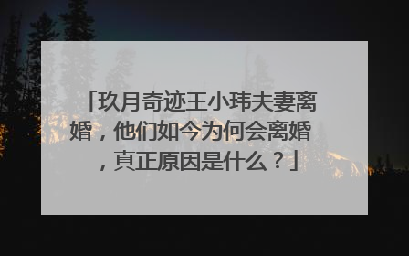 玖月奇迹王小玮夫妻离婚，他们如今为何会离婚，真正原因是什么？