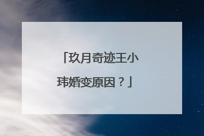 玖月奇迹王小玮婚变原因？
