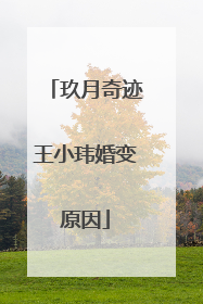玖月奇迹王小玮婚变原因