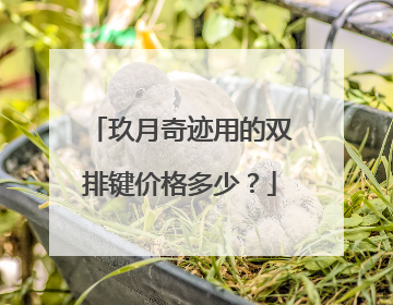 玖月奇迹用的双排键价格多少？