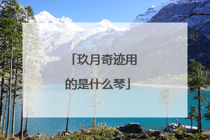 玖月奇迹用的是什么琴