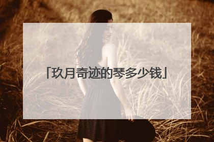 玖月奇迹的琴多少钱