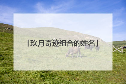 玖月奇迹组合的姓名