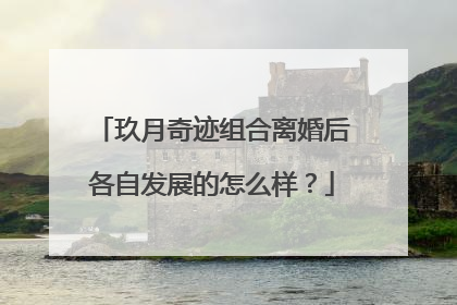 玖月奇迹组合离婚后各自发展的怎么样?