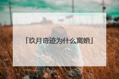 玖月奇迹为什么离婚