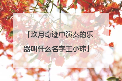 玖月奇迹中演奏的乐器叫什么名字王小玮