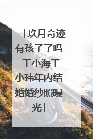 玖月奇迹有孩子了吗 王小海王小玮年内结婚婚纱照曝光
