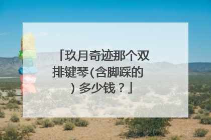 玖月奇迹那个双排键琴(含脚踩的）多少钱？