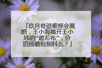 玖月奇迹难怪会离婚,王小海揭开王小玮的“遮羞布”,分道扬镳有预料么?