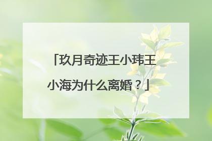 玖月奇迹王小玮王小海为什么离婚？