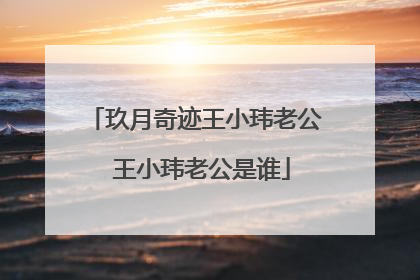 玖月奇迹王小玮老公 王小玮老公是谁