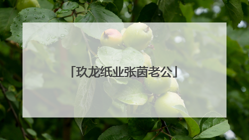玖龙纸业张茵老公