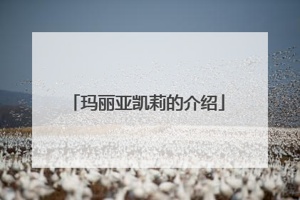 玛丽亚凯莉的介绍