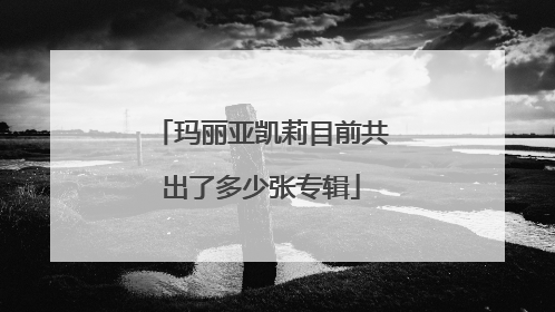 玛丽亚凯莉目前共出了多少张专辑