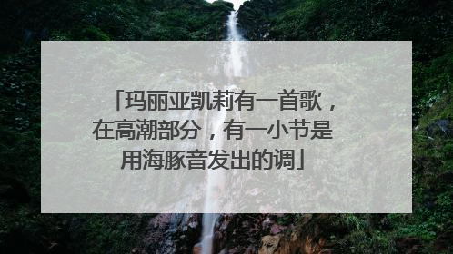 玛丽亚凯莉有一首歌，在高潮部分，有一小节是用海豚音发出的调