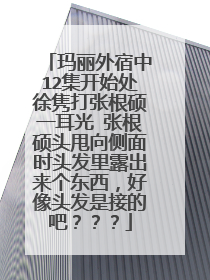 玛丽外宿中12集开始处徐隽打张根硕一耳光 张根硕头甩向侧面时头发里露出来个东西，好像头发是接的吧？？？