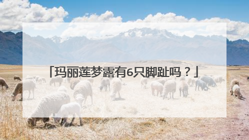 玛丽莲梦露有6只脚趾吗?