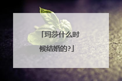 玛莎什么时候结婚的?