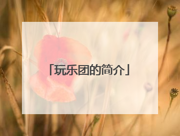 玩乐团的简介