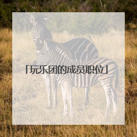 玩乐团的成员职位