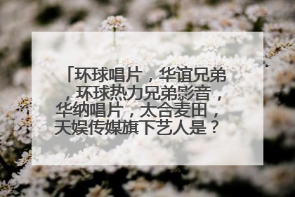 环球唱片，华谊兄弟，环球热力兄弟影音，华纳唱片，太合麦田，天娱传媒旗下艺人是？每年选秀时间是？