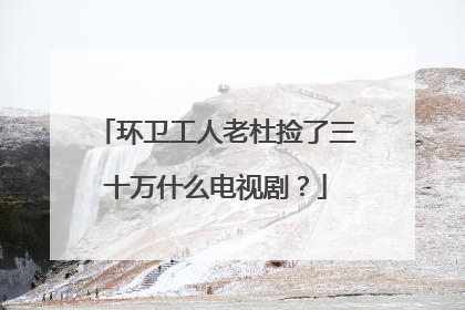 环卫工人老杜捡了三十万什么电视剧？