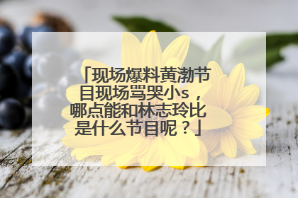 现场爆料黄渤节目现场骂哭小s，哪点能和林志玲比是什么节目呢？