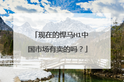 现在的悍马H1中国市场有卖的吗？