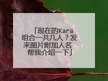 现在的Kara组合一共几人？发来图片附加人名 帮我介绍一下