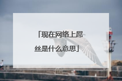 现在网络上屌丝是什么意思