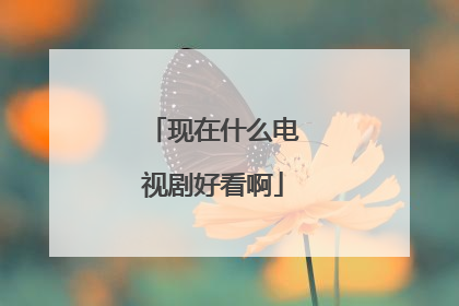 现在什么电视剧好看啊