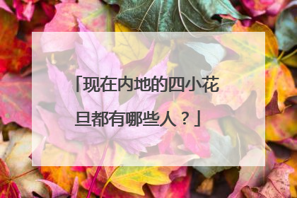 现在内地的四小花旦都有哪些人？