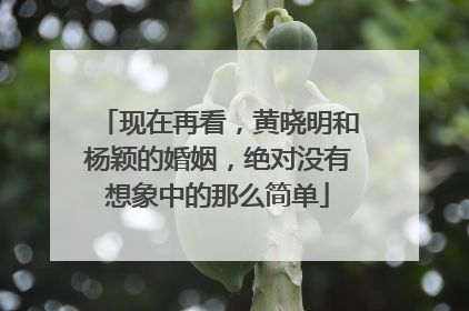 现在再看，黄晓明和杨颖的婚姻，绝对没有想象中的那么简单