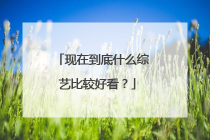 现在到底什么综艺比较好看?