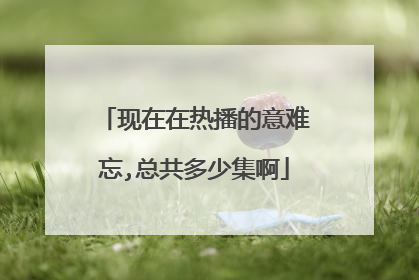 现在在热播的意难忘,总共多少集啊