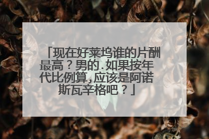 现在好莱坞谁的片酬最高?男的.如果按年代比例算,应该是阿诺斯瓦辛格吧?