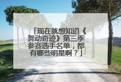 现在就想知道《舞动奇迹》第三季参赛选手名单，都有哪些明星啊？