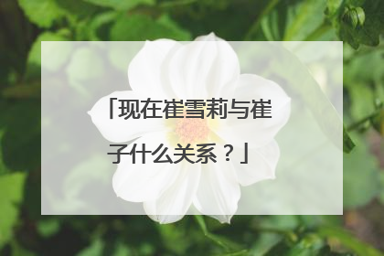 现在崔雪莉与崔子什么关系?