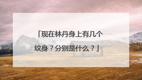 现在林丹身上有几个纹身？分别是什么？