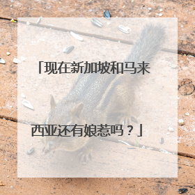 现在新加坡和马来西亚还有娘惹吗?