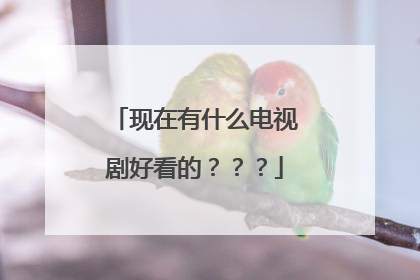 现在有什么电视剧好看的???