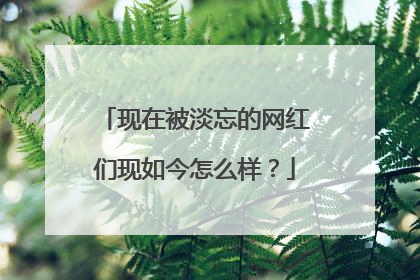 现在被淡忘的网红们现如今怎么样？