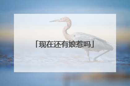 现在还有娘惹吗