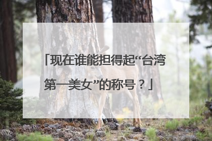 现在谁能担得起“台湾第一美女”的称号？
