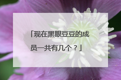 现在黑眼豆豆的成员一共有几个？
