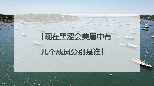 现在黑涩会美眉中有几个成员分别是谁