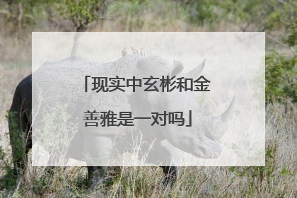 现实中玄彬和金善雅是一对吗